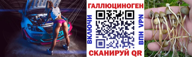 Купить  Мурманск  Псилоцибиновые грибы мицелий 